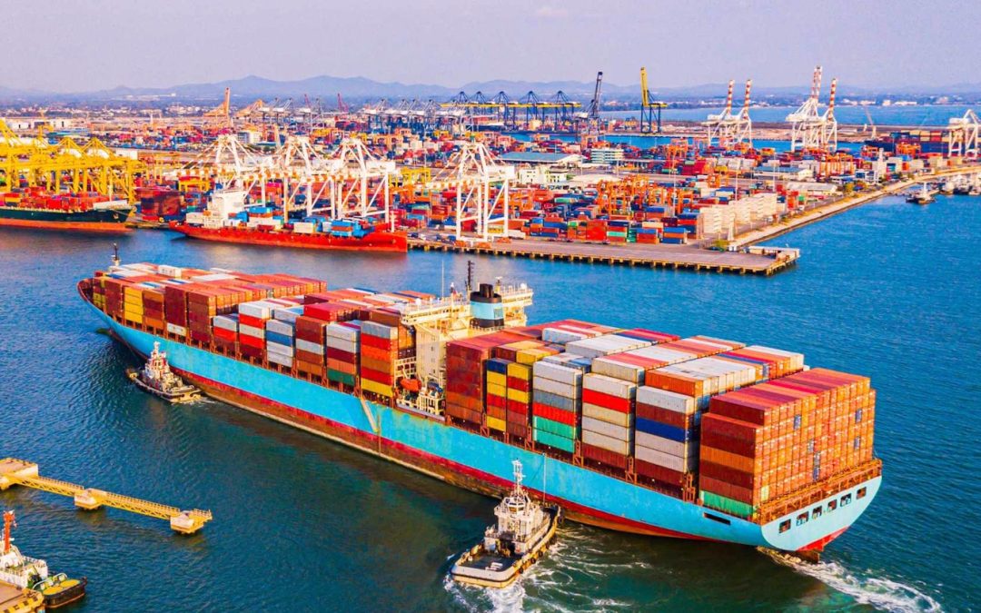 Un paso hacia la internacionalización: Logramos las primeras importaciones bajo el nuevo régimen RENACLAB